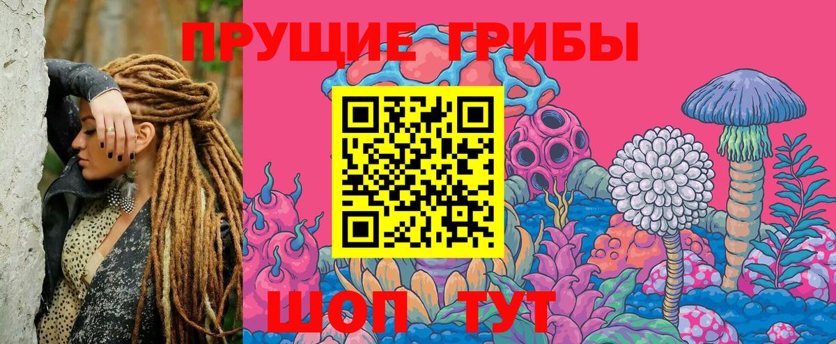 Псилоцибиновые грибы MAGIC MUSHROOMS Ивантеевка