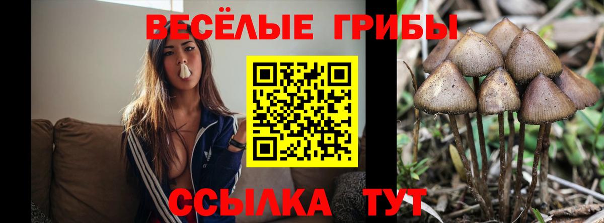 Ивантеевка  Псилоцибиновые грибы мицелий  Вход с VPN 